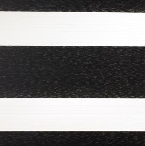Ρόλλερ διπλό, ρολλοκουρτίνα ζέβρα, ρόλλερ double, 80-40