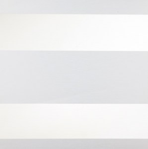 Ρόλλερ διπλό, ρολλοκουρτίνα ζέβρα, ρόλλερ double, 80-40