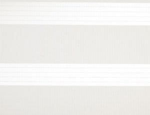 Ρόλλερ διπλό, ρολλοκουρτίνα ζέβρα, ρόλλερ double, 80-40